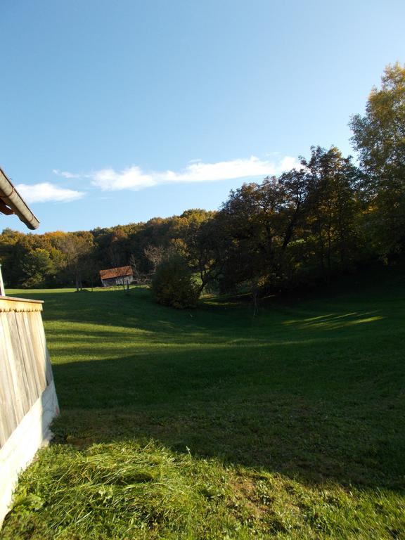 Rustic Home Mia Duga Resa Pokoj fotografie