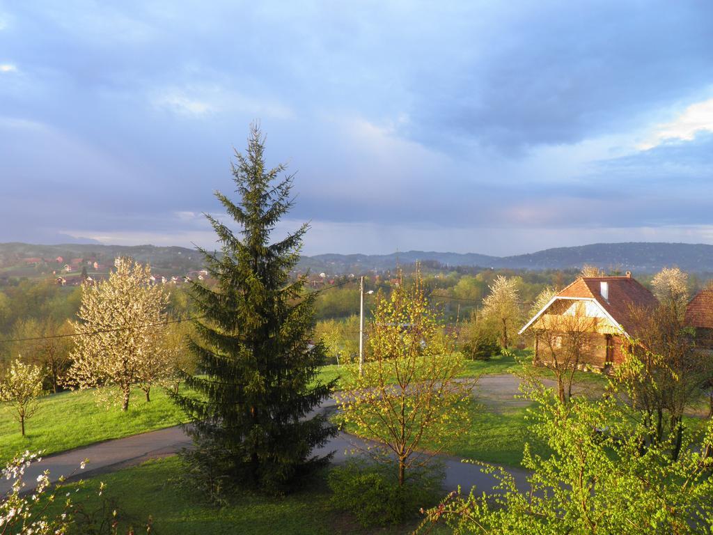 Rustic Home Mia Duga Resa Pokoj fotografie
