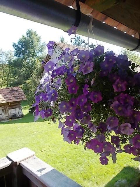 Rustic Home Mia Duga Resa Pokoj fotografie